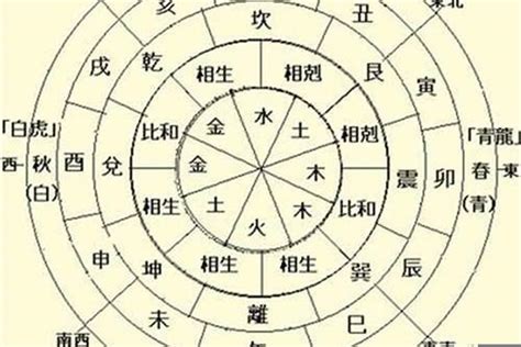 八字 地支 玄学少女